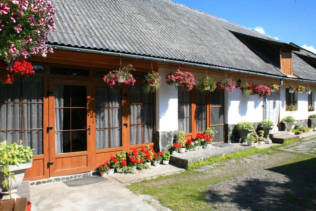 Hotel Ileana Sapanta Exteriér fotografie